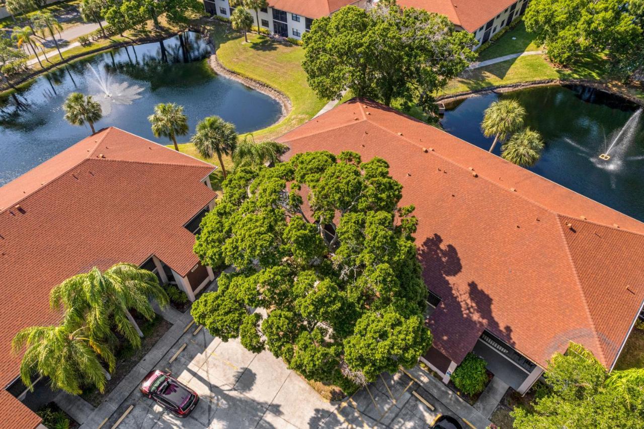 Palm Lagoon Bradenton Eksteriør billede